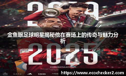 金鱼眼足球明星揭秘他在赛场上的传奇与魅力分析
